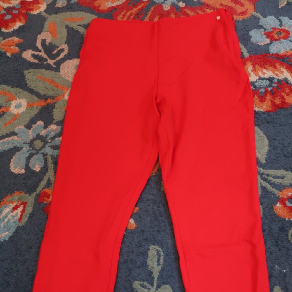 Fabletics Stretchy Work Trousers - image 1